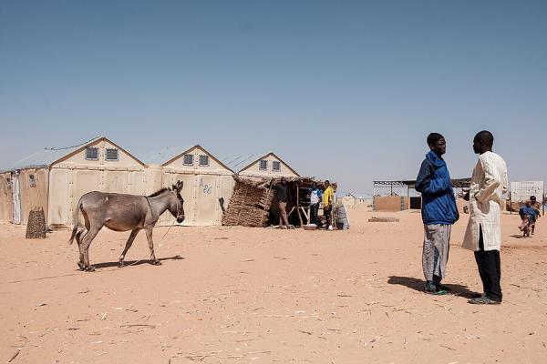 在尼日尔，穷人中的穷人保护逃亡的难民
