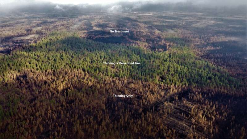 新的研究强调了保护碳和社区免受森林火灾的机会